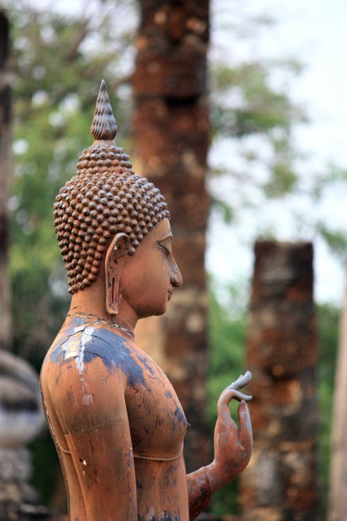 ಬುದ್ಧ ಬುರಡಿ