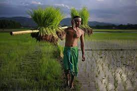 Are Indian Farmers Ready To Explore International Markets?