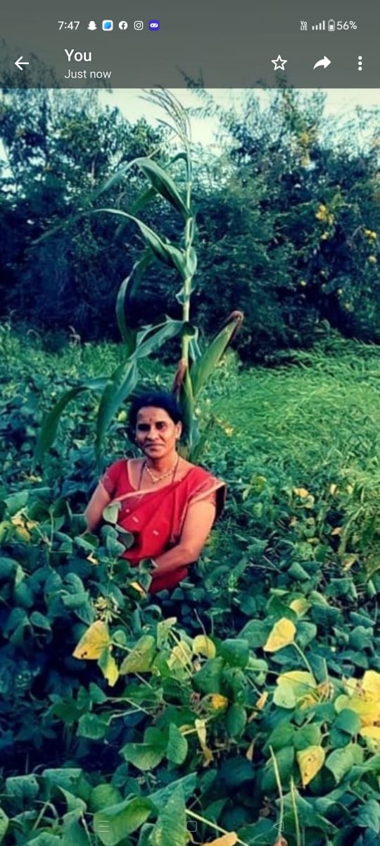 ಡಾ ಅನ್ನಪೂರ್ಣ ಹಿರೇಮಠ ಅವರ ಗಜಲ್