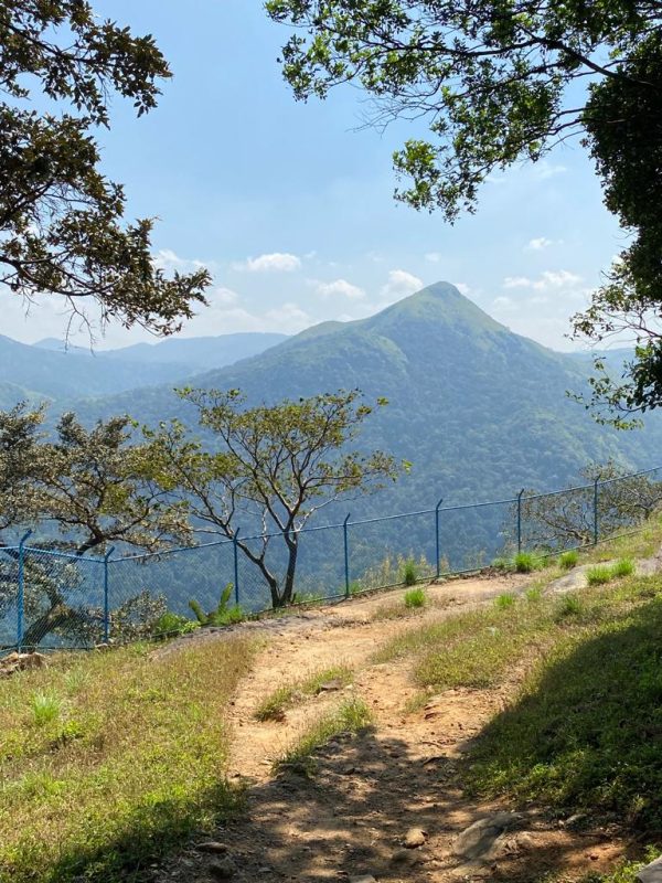 ಶಾಂತಲಾ ಮಧು ಕವಿತೆ-ಸಮಾಧಿ