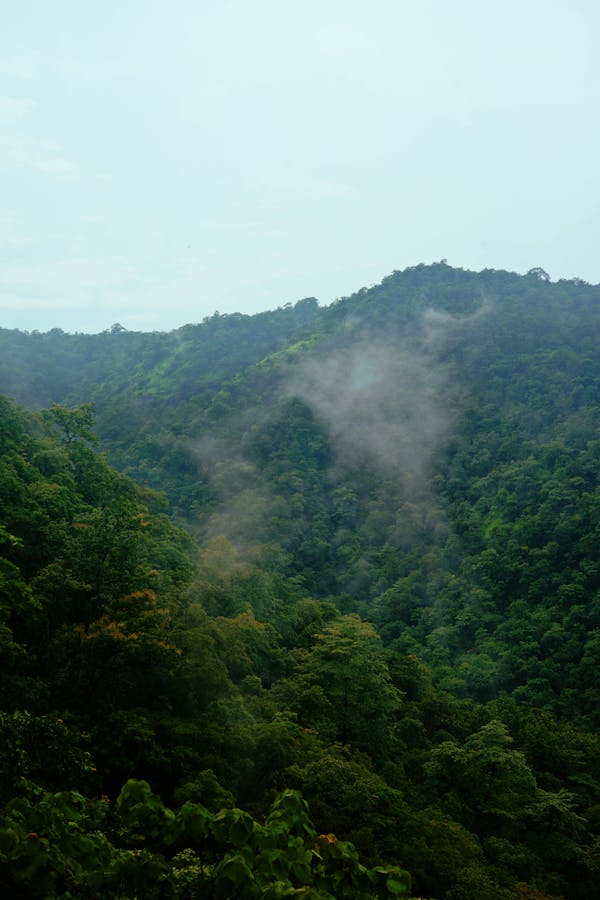 ವ್ಯಾಸ ಜೋಶಿ ಅವರ ತನಗಗಳು