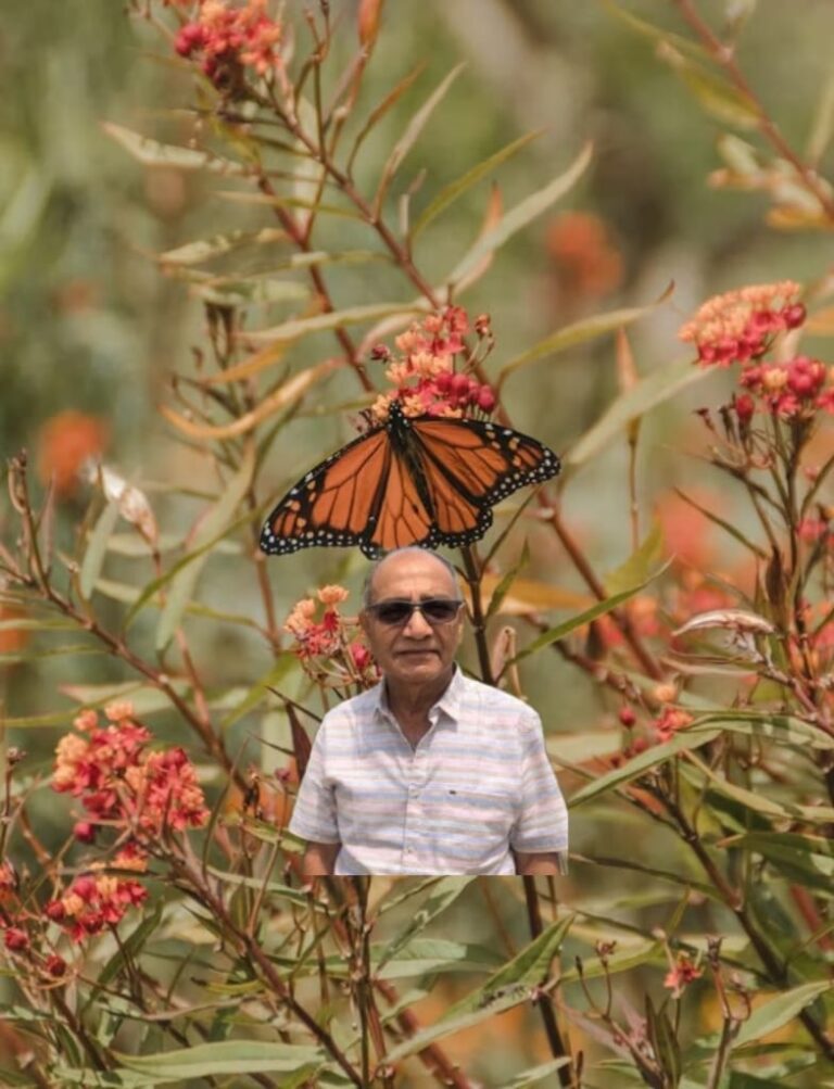 ಡಾ ಡೋ ನಾ ವೆಂಕಟೇಶ ಅವರ “ಪ್ರೀತಿ-ಚಿಟ್ಟೆ”