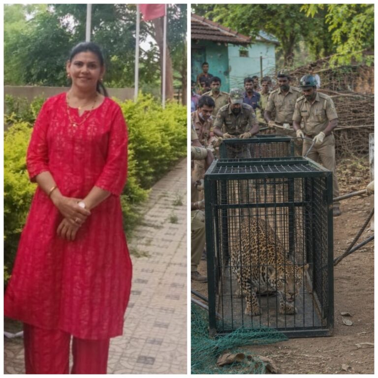 ಹೋಗುವುದಾದರೂ ಎಲ್ಲಿಗೆ ….??ವಿಶೇಷಲೇಖನ ಜಯಲಕ್ಷ್ಮಿ ಕೆ ಮಡಿಕೇರಿ